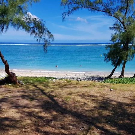 Le Tamarin Bleu - Studio A 300 M De La Plage La Saline Le Bains Kültér fotó