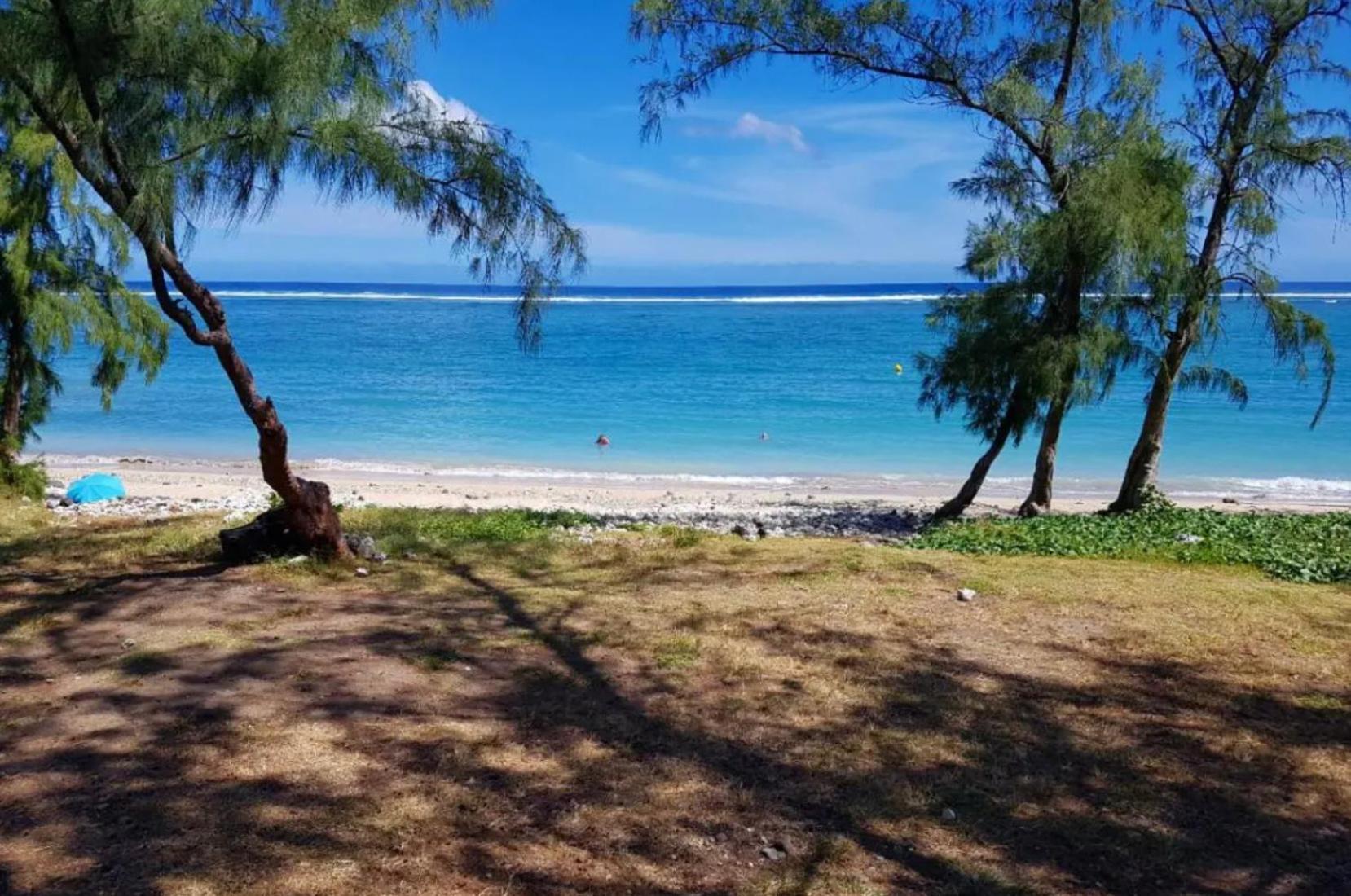 Le Tamarin Bleu - Studio A 300 M De La Plage La Saline Le Bains Kültér fotó